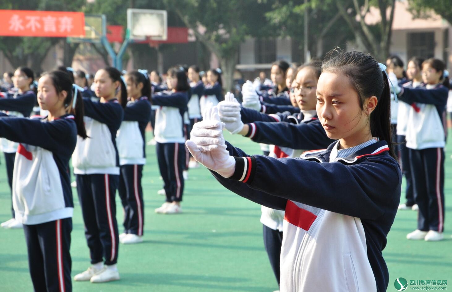 QQ截图20171102174114.jpg