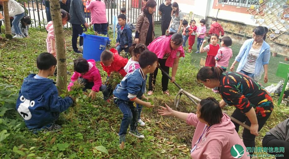 三江小学附属幼儿园开展种植园活动