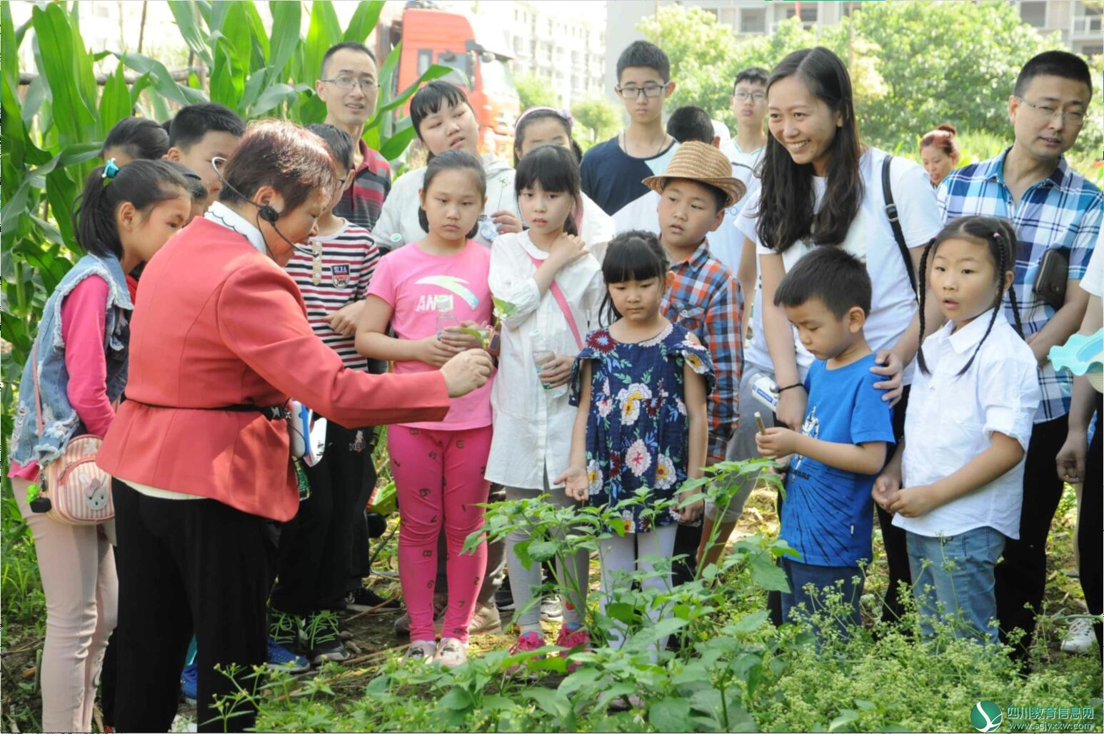 QQ截图20180507182654.jpg