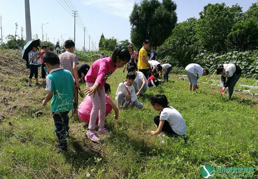 QQ截图20180509114950.jpg