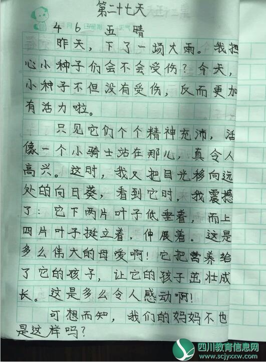 QQ截图20180526155557.jpg