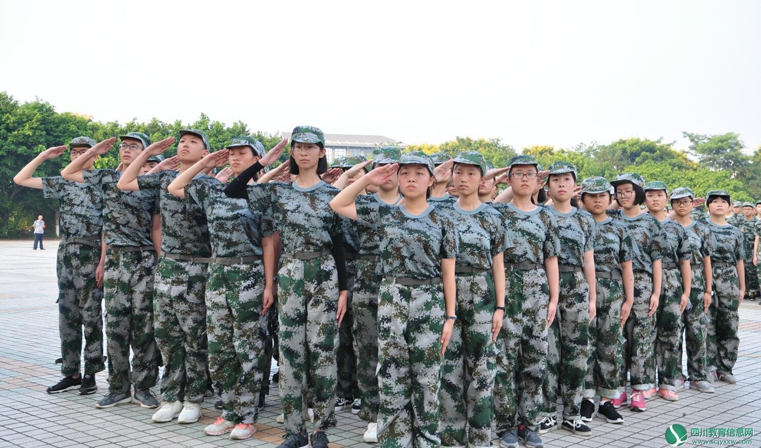 QQ截图20180829155437.jpg