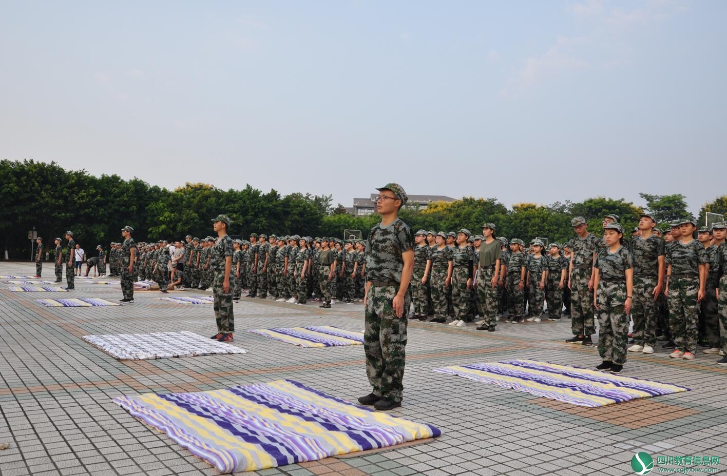 QQ截图20180829155940.jpg