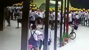 3242342.gif