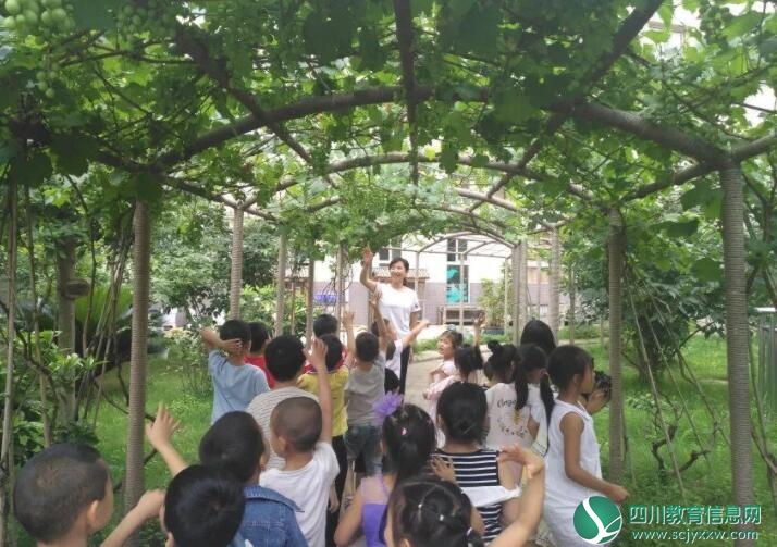 【大美遂宁·最美教师】系列报道之一： 刘小英—爱洒学生 用真情从教