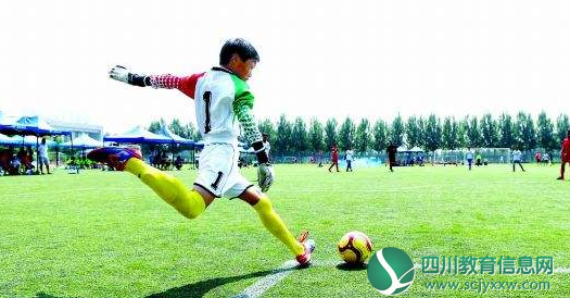 教育部关于公布2018年全国青少年校园足球 特色学校、试点县（区）和“满天星” 训练营遴选结果名单的通知
