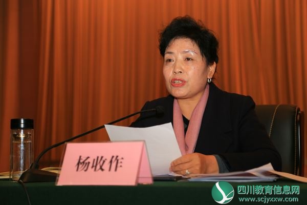 副市长杨收作发言.JPG