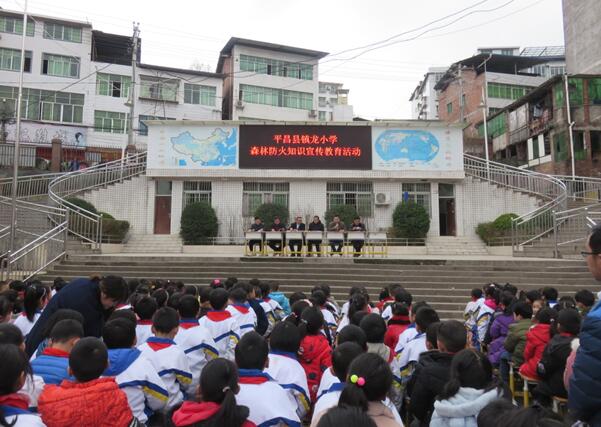 平昌县镇龙小学：积极开展“森林防火”主题安全教育活动