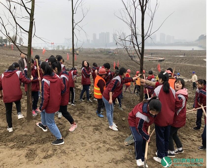 QQ截图20190313150112.jpg