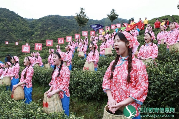 达州职院学生亮相大竹喊山开茶文化节