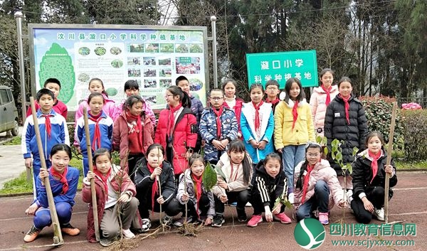 漩口小学开展我为增绿减霾植棵树活动