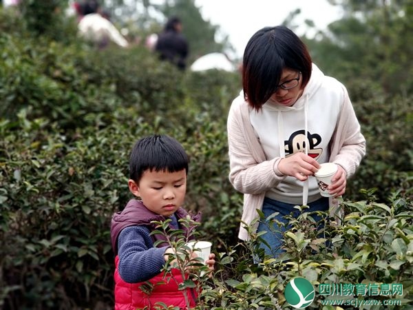 马鹿中学组织七八年级全体师生举行踏春游学活动