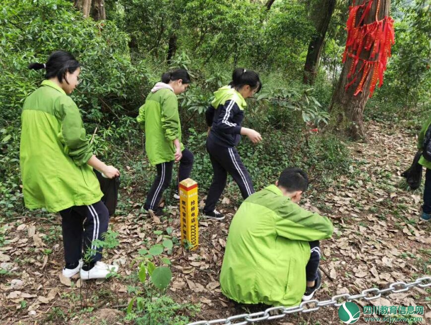 QQ截图20190416192401.jpg