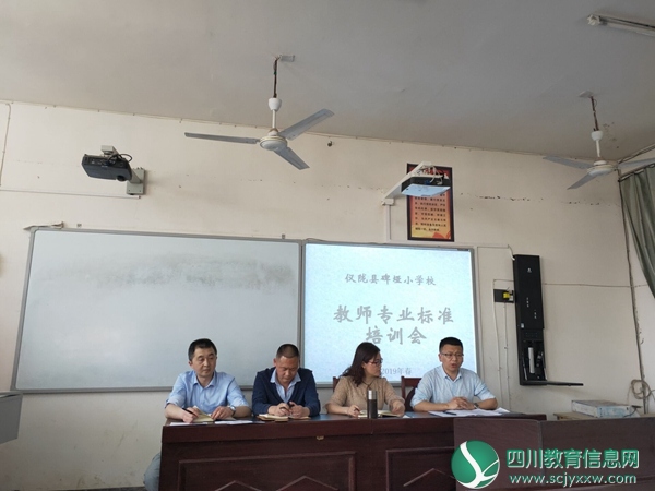仪陇县碑垭小学开展教师专业培训