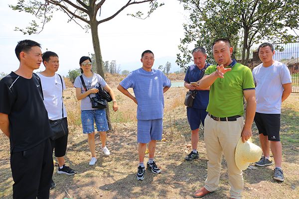 190523经营性国有资产清理 (49).JPG