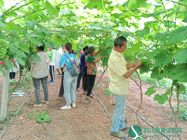 学员开展蔬果实践活动 IMG20190524102923.jpg