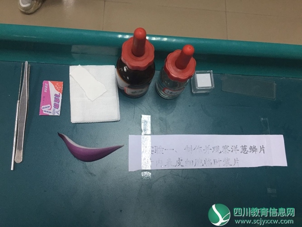 图一、器材准备充分规范.jpg