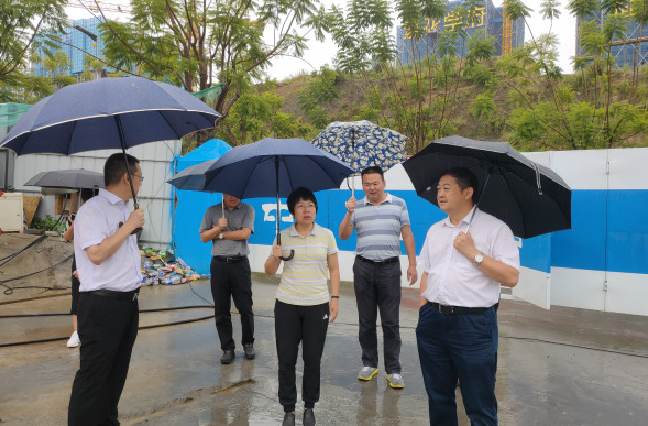 马晓凤副市长调研花城新区教育规划建设情况