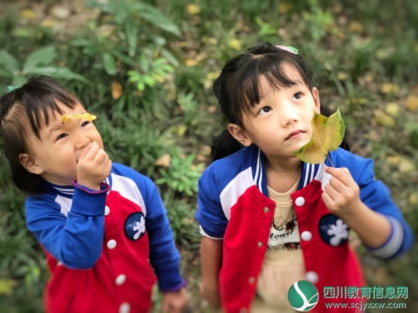 北辰街幼儿园开展“童心·家乡”秋日研学旅行