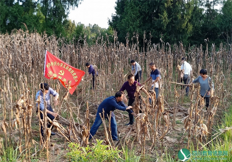 巴州区中兴小学挂包驻帮出实招