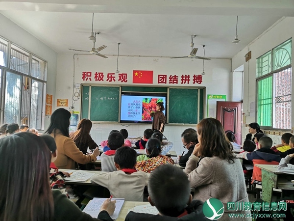 安居区安居镇护村小学、安平小学开展联合教研活动