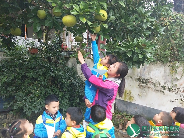 汶川二幼开展“乐享健康，亲近自然” 秋游活动