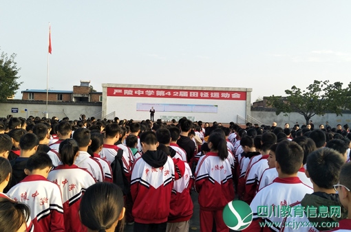 严陵中学开展丰富多彩的体育活动