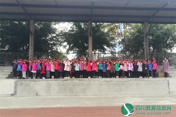 罗江区深雪堂小学红举办领巾志愿者宣誓就职仪式