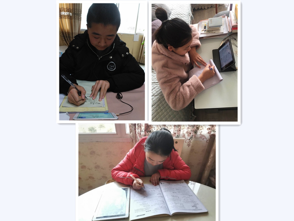 图片1.png