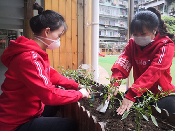春风十里 因为有你 ---顺城园开展植树节青年志愿者护绿行动