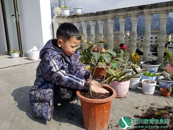 汶川二幼开展植树节活动