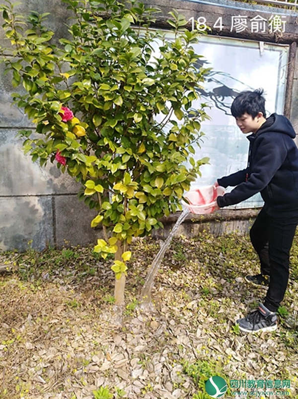江油市华丰初中开展线上植树倡议活动