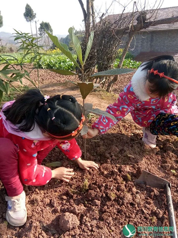 武胜县高石小学开展“行动起来，我为家乡增添一点绿”植树活动