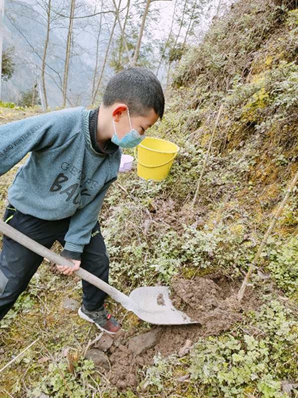 汶川县三江小学校开展“栽种生命·播种希望”春季植树系列活动