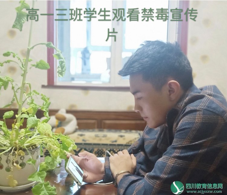 图片1.png