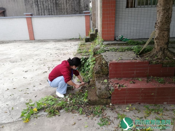 武胜县高石小学打好开学前校园环境综合治理攻坚战