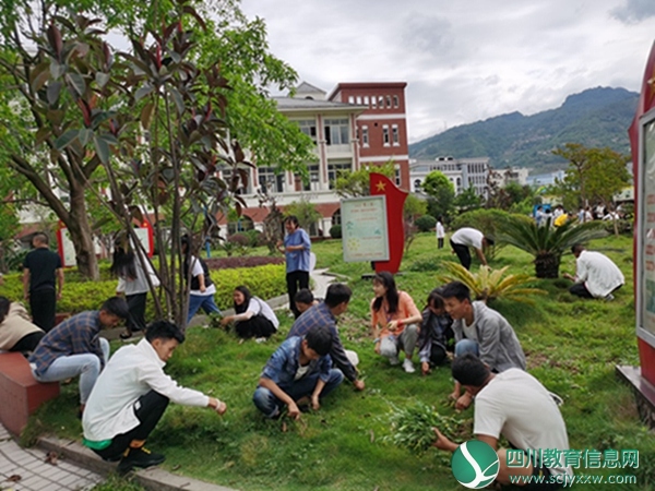 马边碧桂园职中开展“清除杂草，建美丽校园”实践活动
