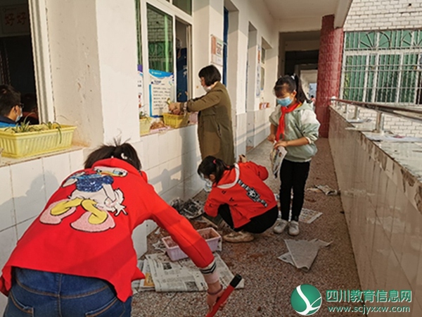 三家小学开展“我种植 我快乐”综合实践活动