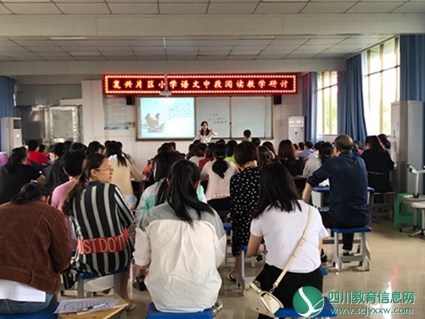 复兴片区开展小学语文中段阅读教学研讨活动