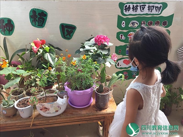 高新区聚贤幼儿园开展“我是环保小卫士”主题活动