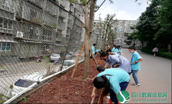 广安友谊实验学校：强化“三个抓起”，让劳动成学生必修课