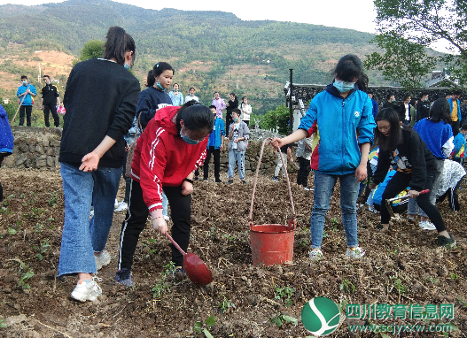 广元市旺苍县国华中学扎实有效落实劳动教育课程
