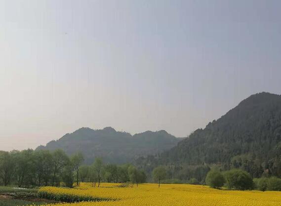 春到龙门村