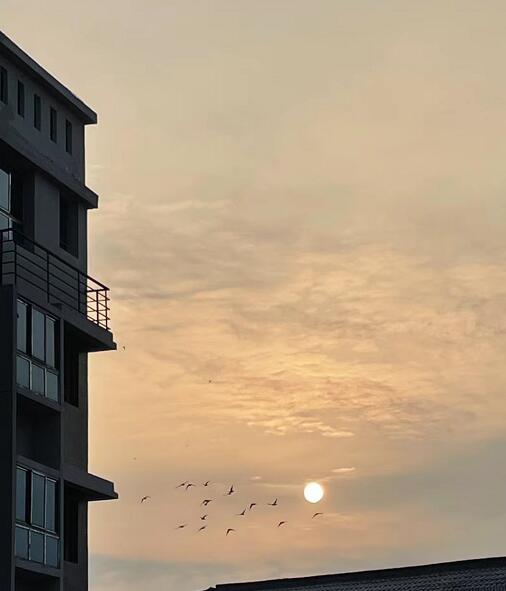 每日一练《夕阳余晖》