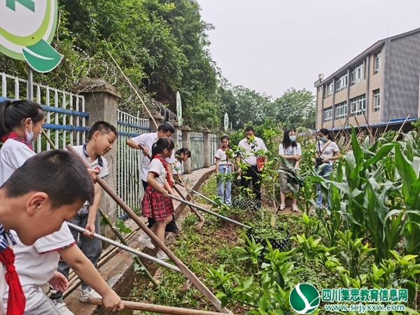 东禅小学开展“我劳动，我光荣，我创造，我幸福”主题活动