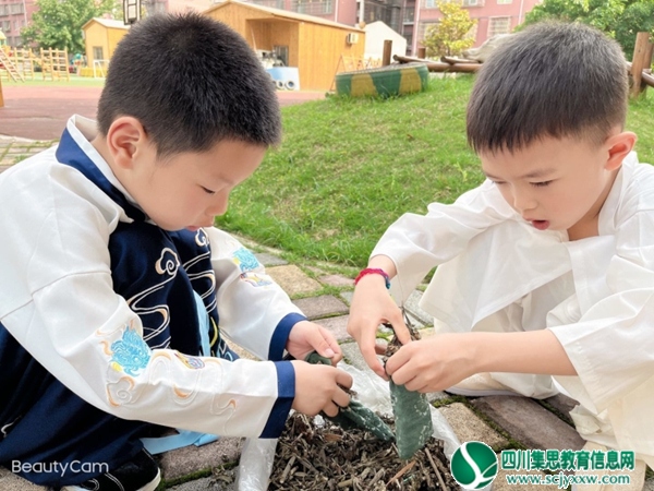 安居一幼开展“拾趣端午 一起向未来”端午节民俗体验活动