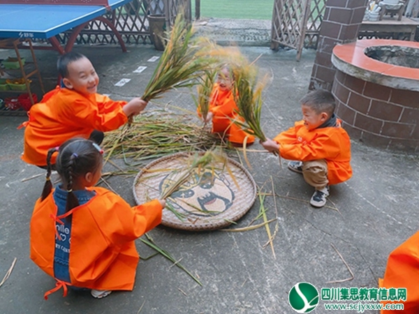 三家幼儿园开展劳动实践教育活动3.jpg