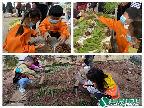 三家幼儿园开展劳动实践教育活动1.jpg