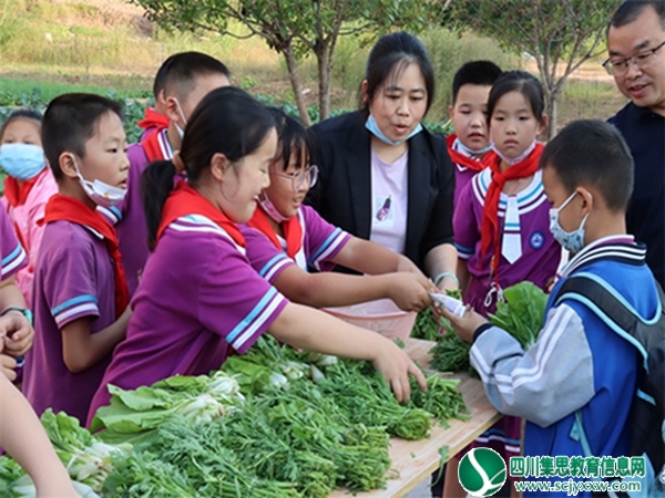 开心采摘享乐趣 爱心义卖暖人心 ——安居区第二小学校开展蔬菜采摘、义卖劳动实践活动