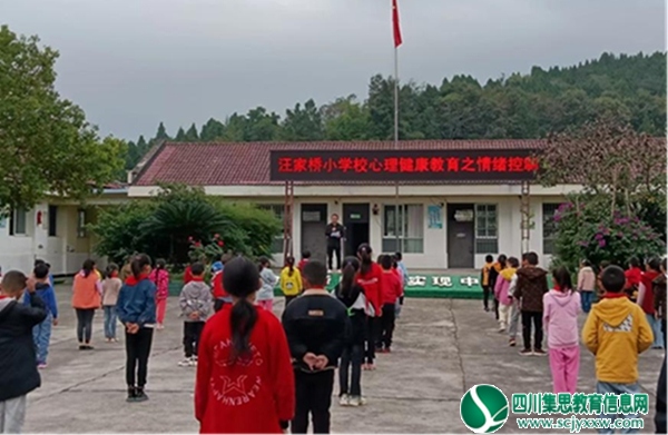 射洪市瞿河镇汪家桥小学校开展学生心理健康教育